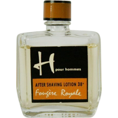 H pour Hommes - Fougère Royale